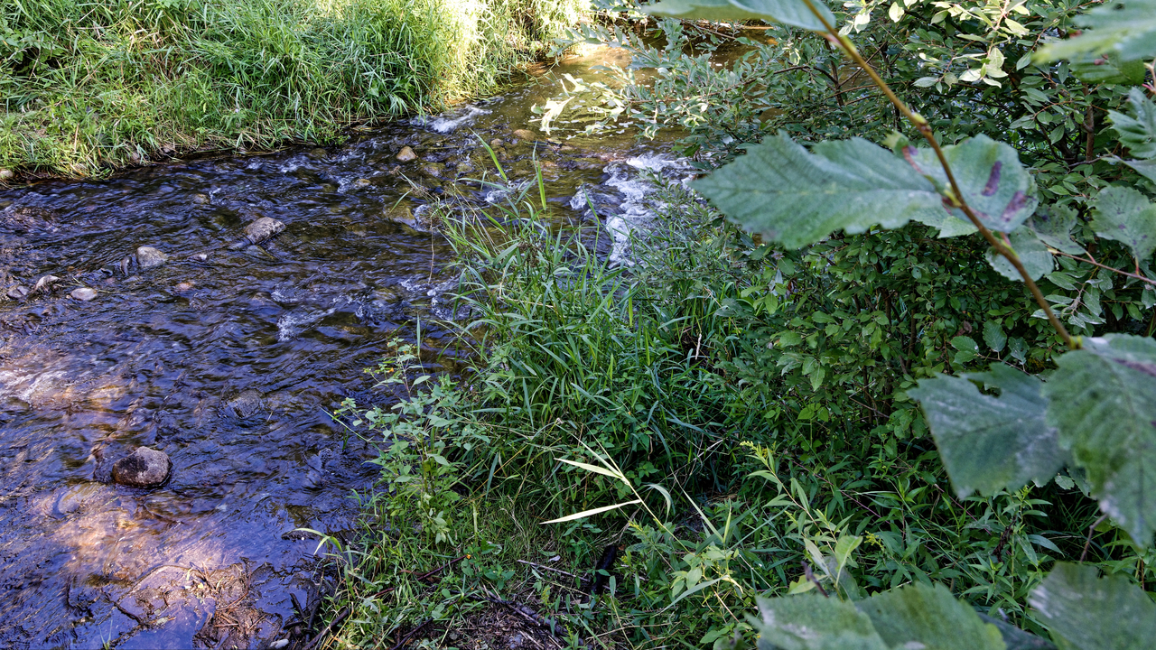 20190809-095011•Mississippi Head Water•Bagley•Minnesota•USA